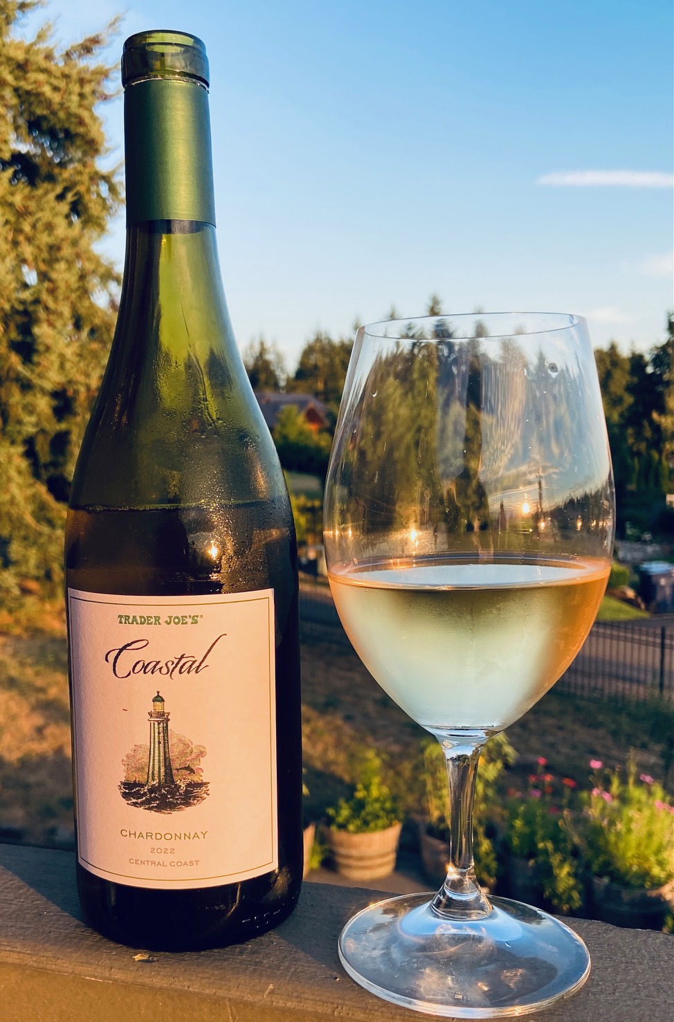 Trader Joe's Coastal Chardonnay Wine Review