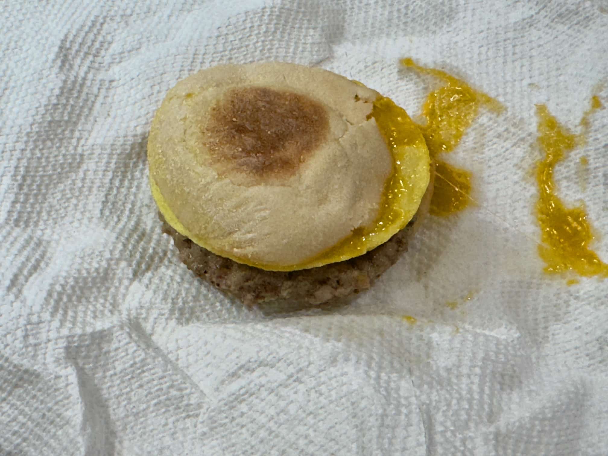 Sad Microwave sandwich